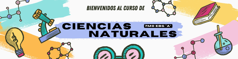 cienciasnaturaleseed56.milaulas.com